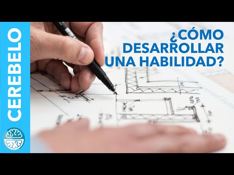 ¿CÓMO FUNCIONA EL CEREBELO?¿CÓMO DESARROLLAMOS UNA HABILIDAD?