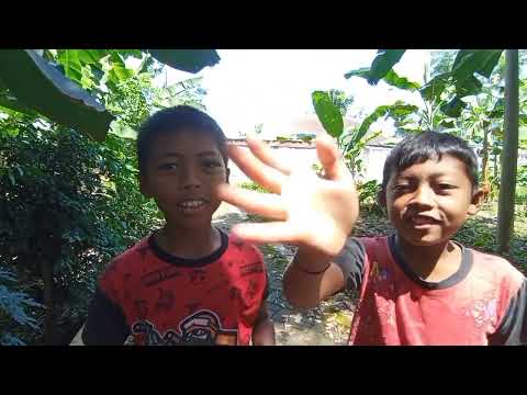 di kerjain hantu monyet || film || KELUARGA  RUWET