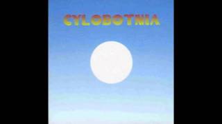 Cylobotnia   More Fake Acoustics