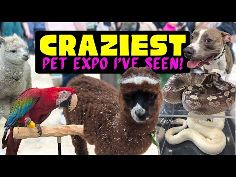 INSANE Pet Expo 2025 Moments! 🐾 You Won’t Believe What I Saw! 🤯