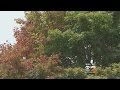 Drought Signs Of Fall