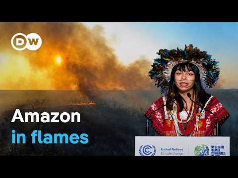Endangered Amazon -Why The Earth's Lungs Are Dying | Dw Documentary