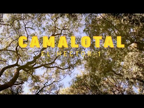 Camalotal - El Hector-1