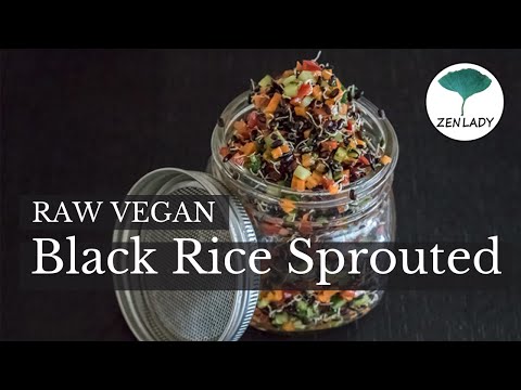 download lagu mp3 mp4 Sprouted Black Rice, download lagu Sprouted Black Rice gratis, unduh video klip Sprouted Black Rice
