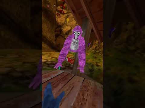 I found tearliner #gorilla #gorillatag #ghost #gorillatagghost