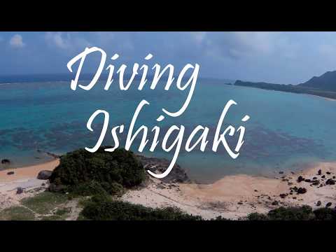 Diving Ishigaki Japan