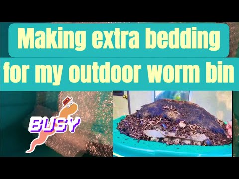 Making extra bedding for Gilligan, my outdoor worm bin