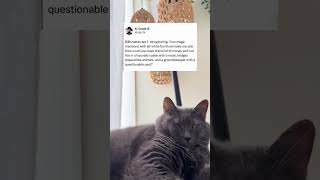 Download lagu Billionaires are so boring mp3