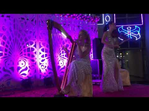 Wedding Decorator portfolio by 2d Events & Entertainment in Jaipur - Photo 2