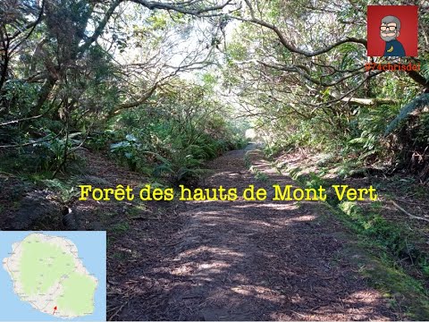 Montvert les hauts. randonnée à la Réunion