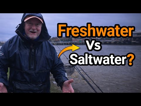 Fishing the River Tyne After Heavy Rain – Does Freshwater Ruin the Fishing?