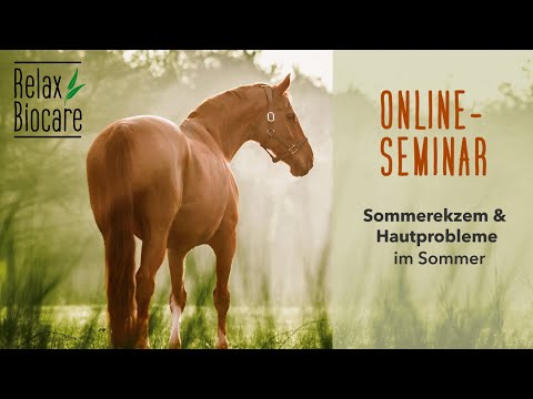 RelaxWissen: Sommerekzem und Hautprobleme