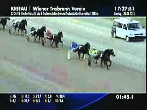 Sieg am 20.03.2011 in der Krieau durch HiHallKing