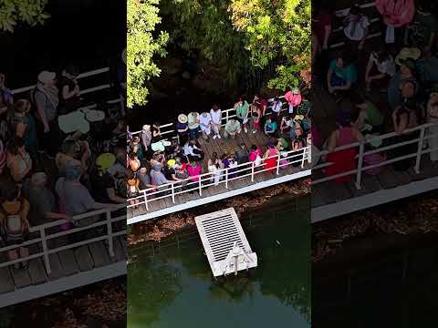 Cenas da Experiência na natureza baseada na fenomenologia no Recanto da Cascata em Analândia - SP