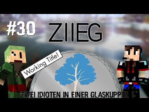 Hast du nachgeladen?! • #30 • Minecraft ZIIEG | Nephias