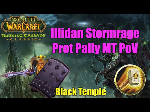 Illidan Stormrage Prot Pally Main Tank PoV (Pre-Nerf) | TBC Classic Phase 3