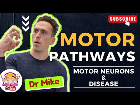 Motor Pathways | Motor Neurons and Disease