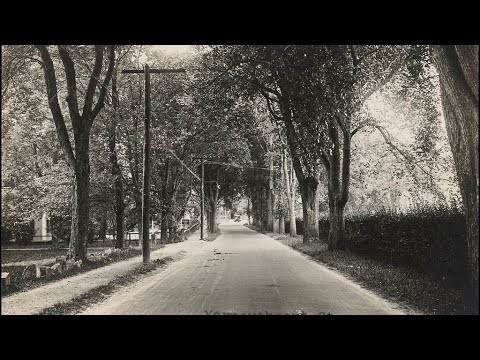 330 Years of Unknown History: The Oldest Road in the US Surfaces