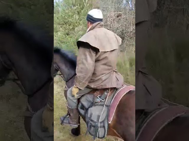 Cheval espagnol