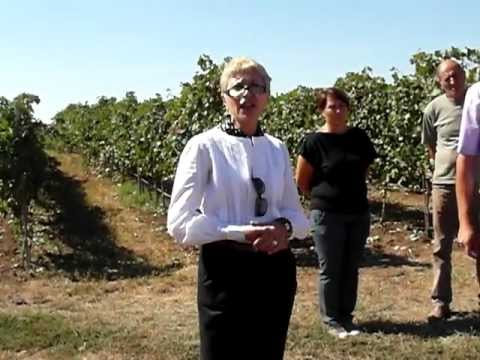 Ema Mocanu prezentare Grebanu by Vrancea Media