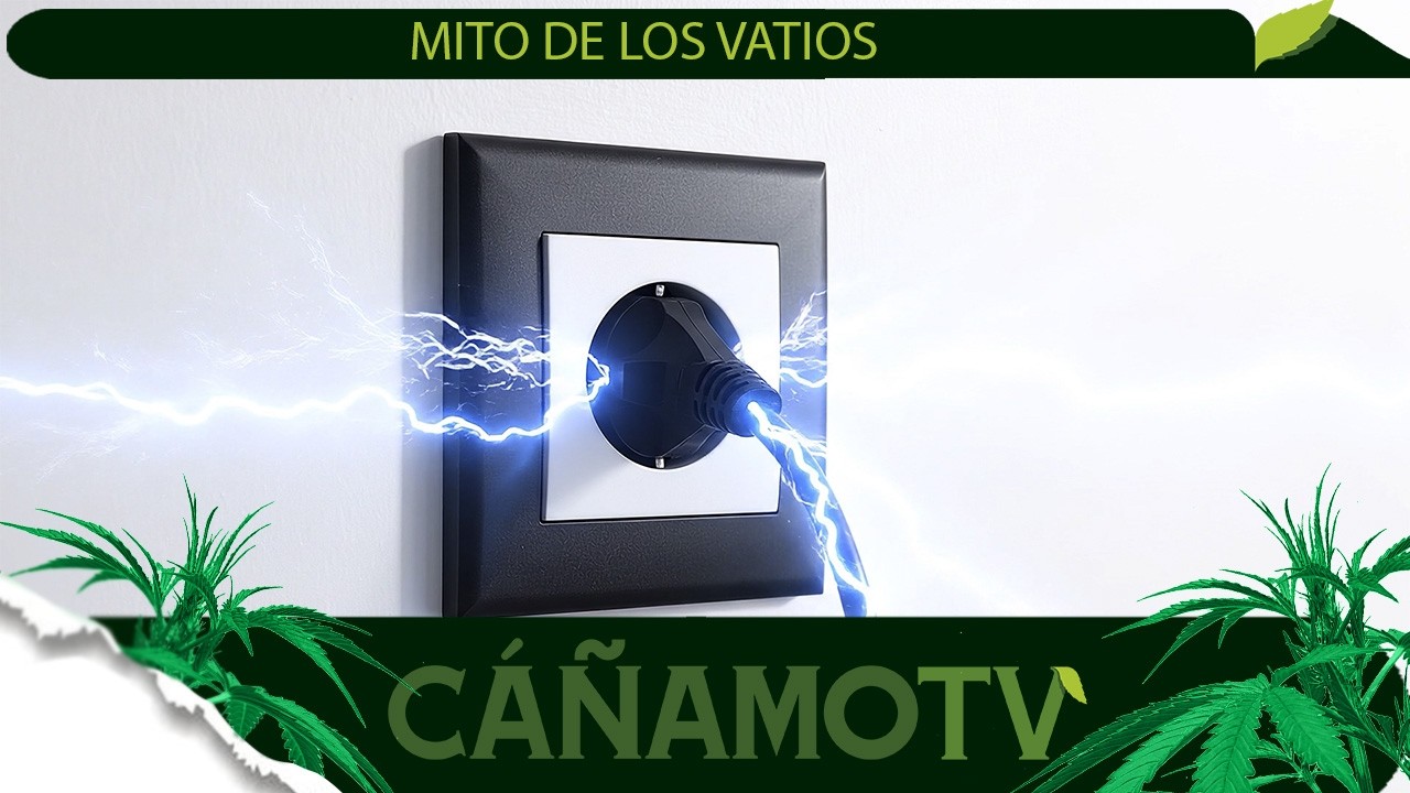 EL MITO DE LOS VATIOS ¿REALMENTE MÁS CONSUMO SIGNIFICA MÁS PRODUCCIÓN? 💡 Mars Hydro