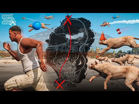 Can Franklin Escape Los Santos When It’s Overrun By Cougars?