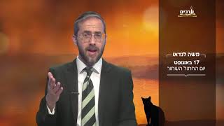 17 באוגוסט יום החתול השחור עם הרב משה לנדאו