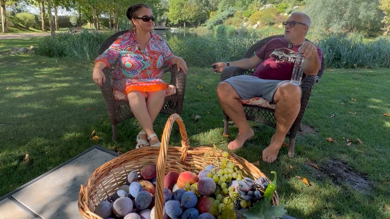 Am cules fructe din gradina! Gomboti cu prune si cum se prepara!