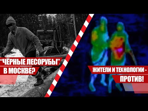 Черные лесорубы в Москве? Жители и технологии - ПРОТИВ!