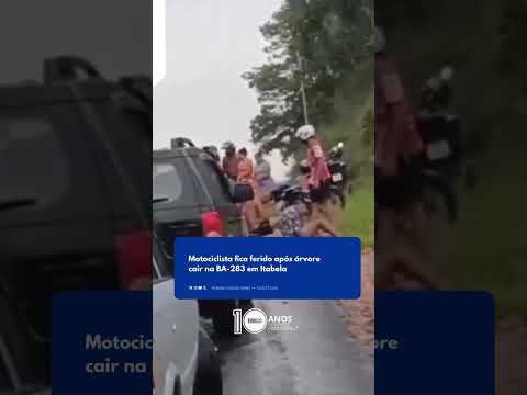 FURO31 - Motociclista fica ferido após árvore cair na BA-283 em Itabela