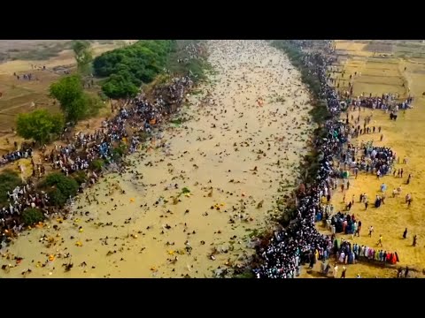 Like a Boss Compilation! Amazing Stuffs