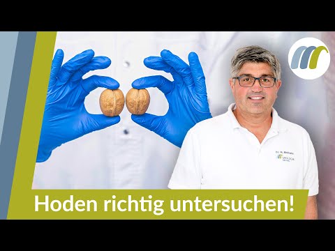 Preventing testicular cancer: How men can examine themselves!