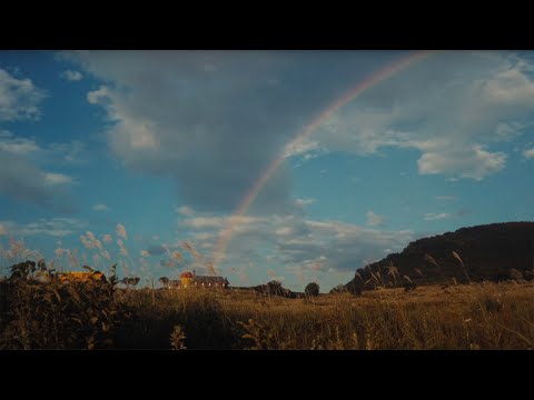 Sweet William - See, Saw