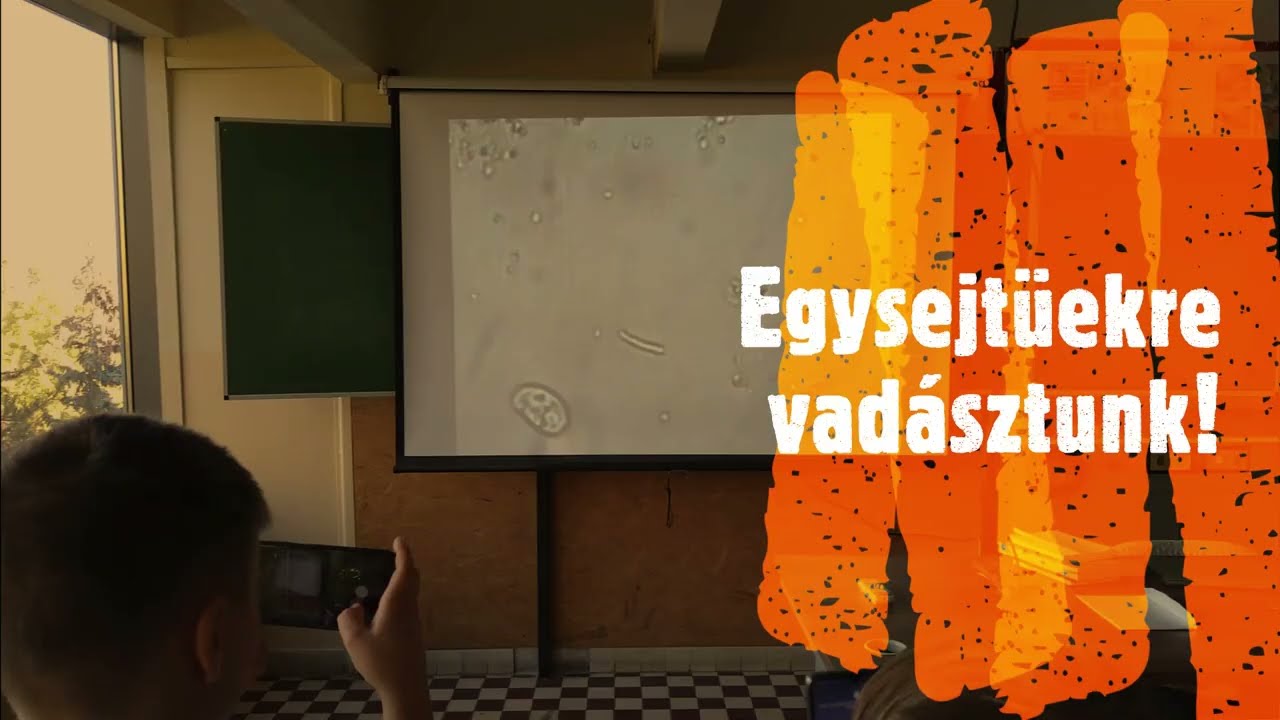Laborfoglalkozás az 5. évfolyamon 2022.10.
