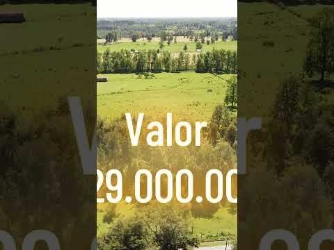 Parcelas en Venta Sector el Coigue Osorno Region de los Lagos Agenda tu Visita