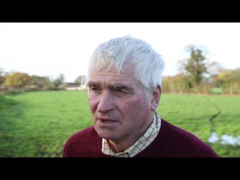 Supermarket dairy initiatives ‘A step forward’