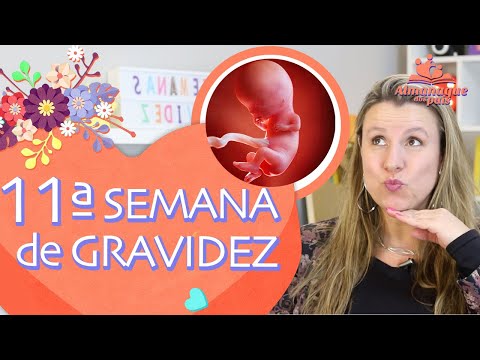 11ª SEMANA DE GESTAÇÃO | Corpo da Grávida, Tamanho do feto, Sexo do Bebê | 1º TRIMESTRE DE GRAVIDEZ