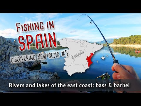 FISHING in SPAIN: rivers and lakes of east coast. Bass, carp and barbel everywhere! Freshwater gems