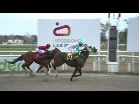 230908 C 08 - OLIVO FEVER  - HIPODROMO LAS PIEDRAS