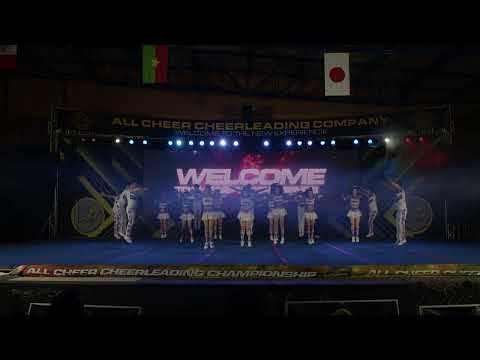 90 ULTIMATE ELITE OPEN COED N4 2   ALL CHEER CHAMPIONSHIP 2022