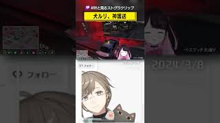 「犬ルリ、神護送」 #叶と見るストグラクリップ