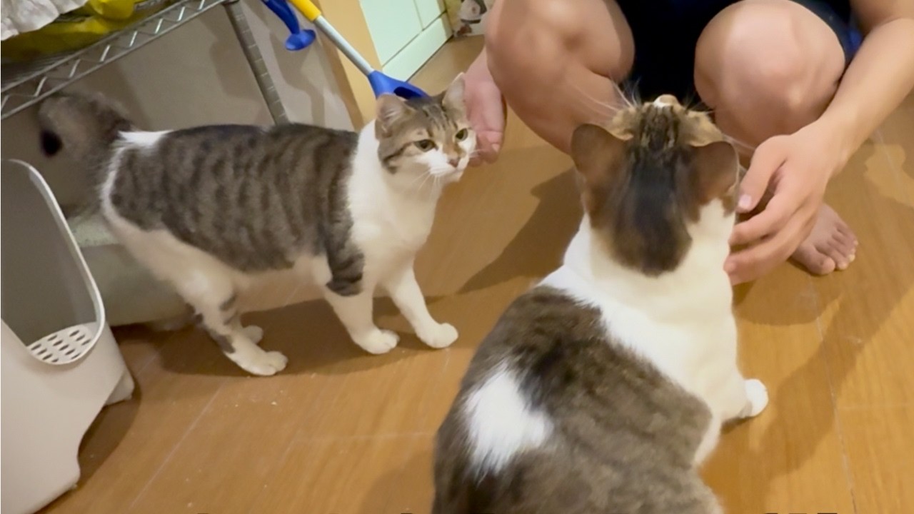 【悲報】ボスの彼氏に浮気されたので報告しときます