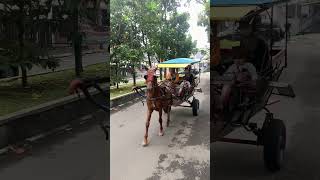 Download lagu kuda delman lari kencang #kuda #delman #jaran #dokar #andong #bendi #sado mp3