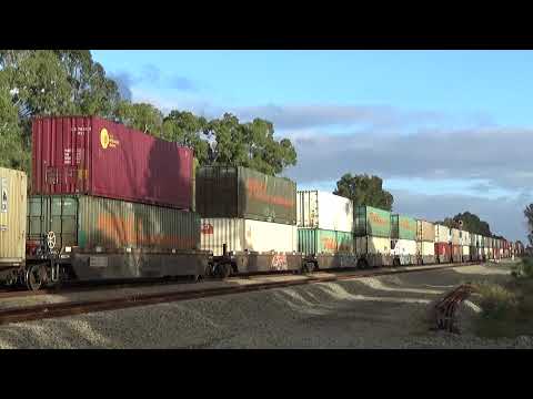 NR114 and NR99 on 1PM5 freight Hazelmere