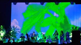 Nature's Child by The Arcs