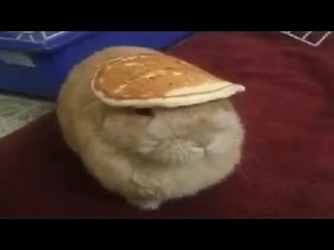 10 Pranks that went way too far