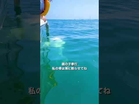 2000年前の墓をめぐる謎が24年の時を経てついに解明される