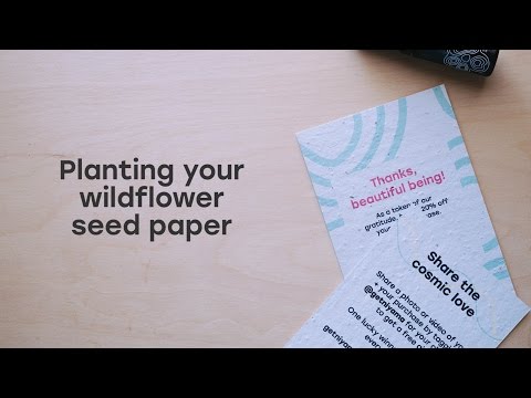 download lagu mp3 mp4 Paper You Can Plant, download lagu Paper You Can Plant gratis, unduh video klip Paper You Can Plant