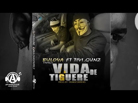 Bulova ft Tivi Gunz - Vida De Tiguere