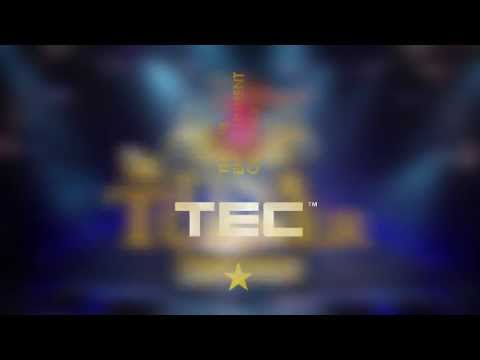 Tina Turner Experience TEC